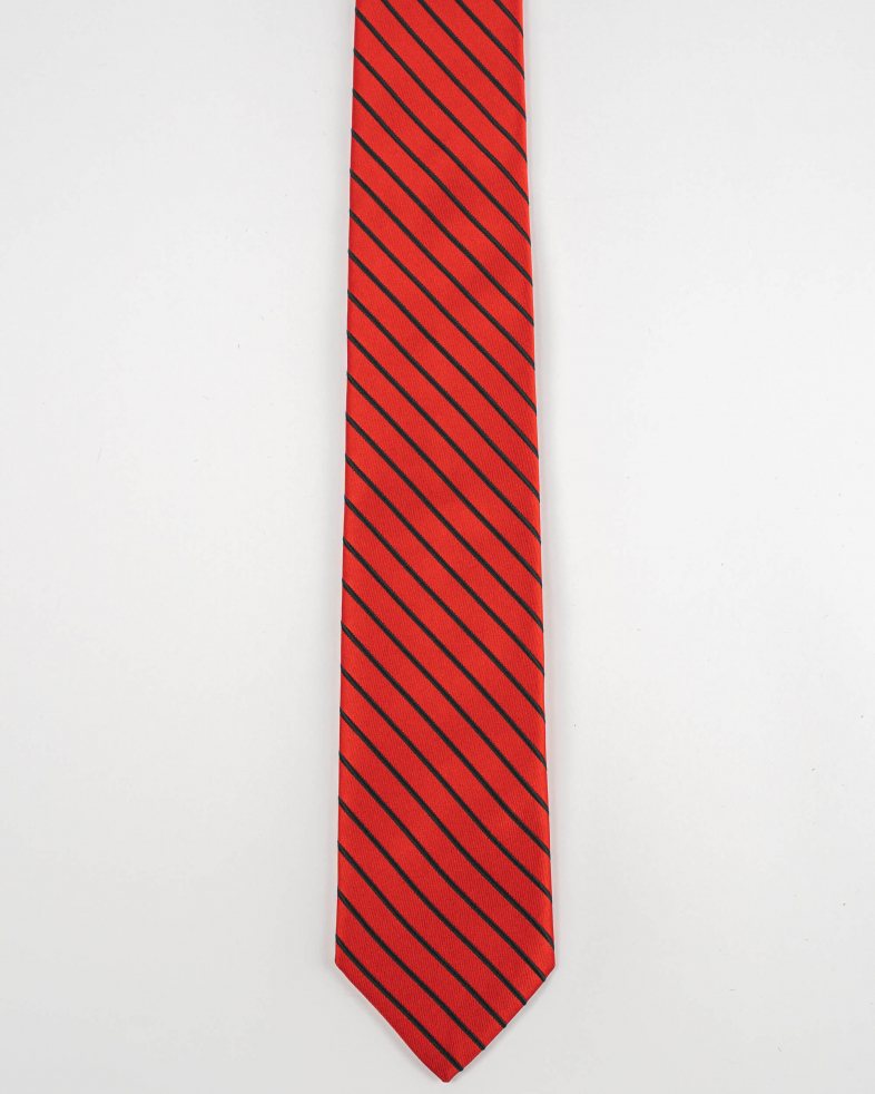 TIE POLYESTER 220150133563-3 01
