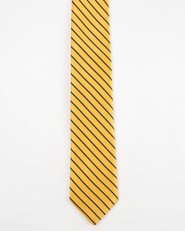 TIE POLYESTER 220150133563-4 01
