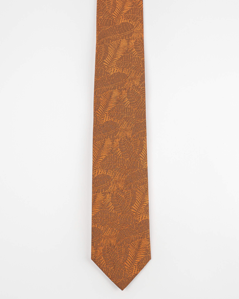 TIE POLYESTER 220150133567-1 01