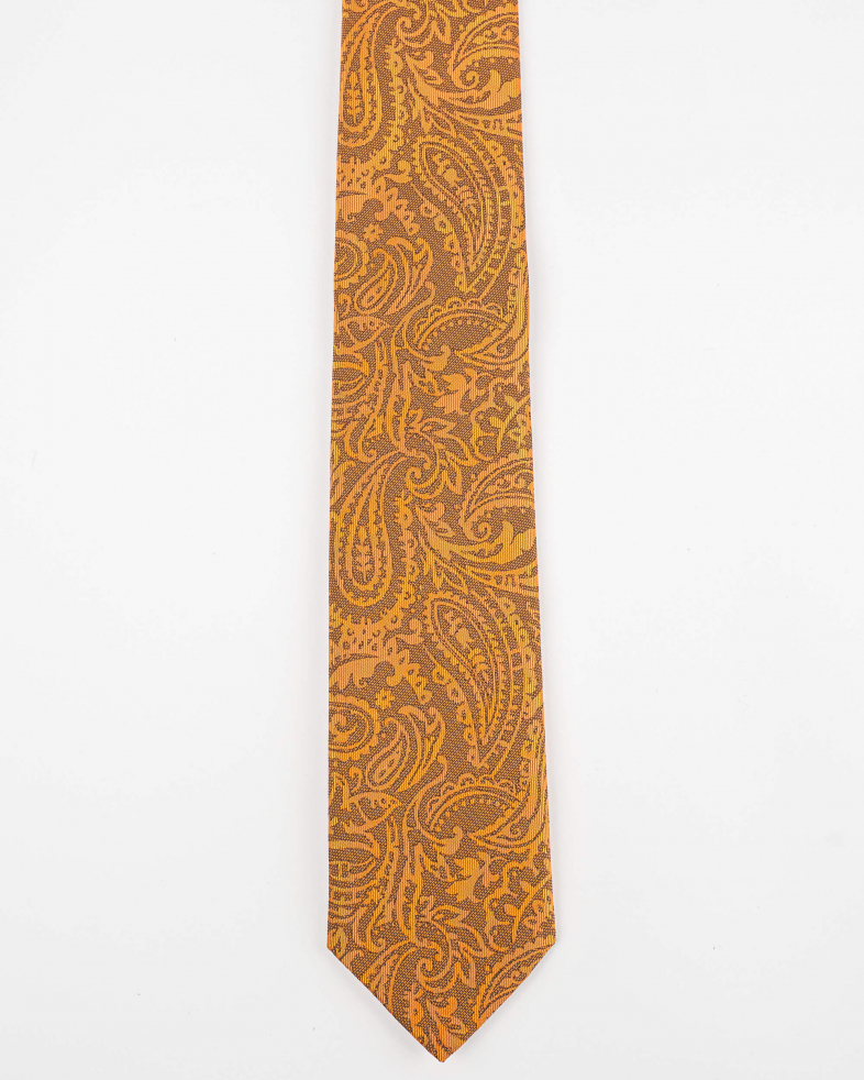 TIE POLYESTER 220150133570-3 01