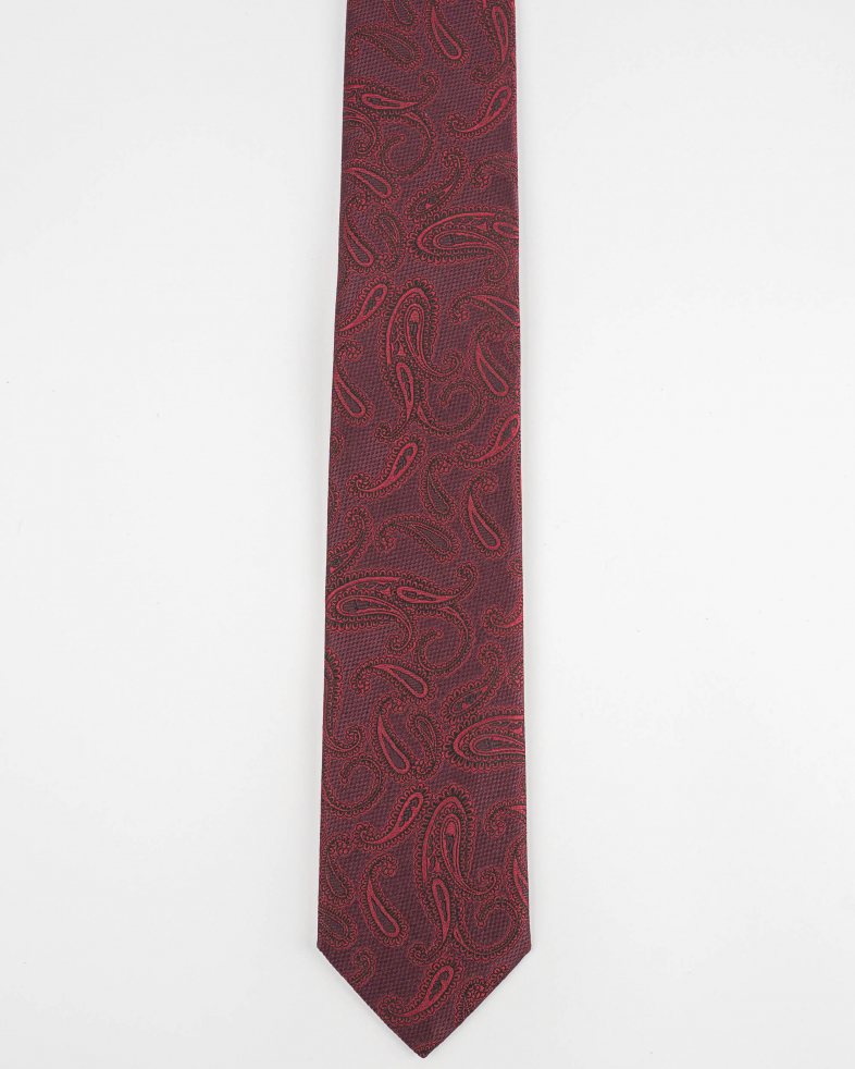 TIE POLYESTER 220150133570-5 01
