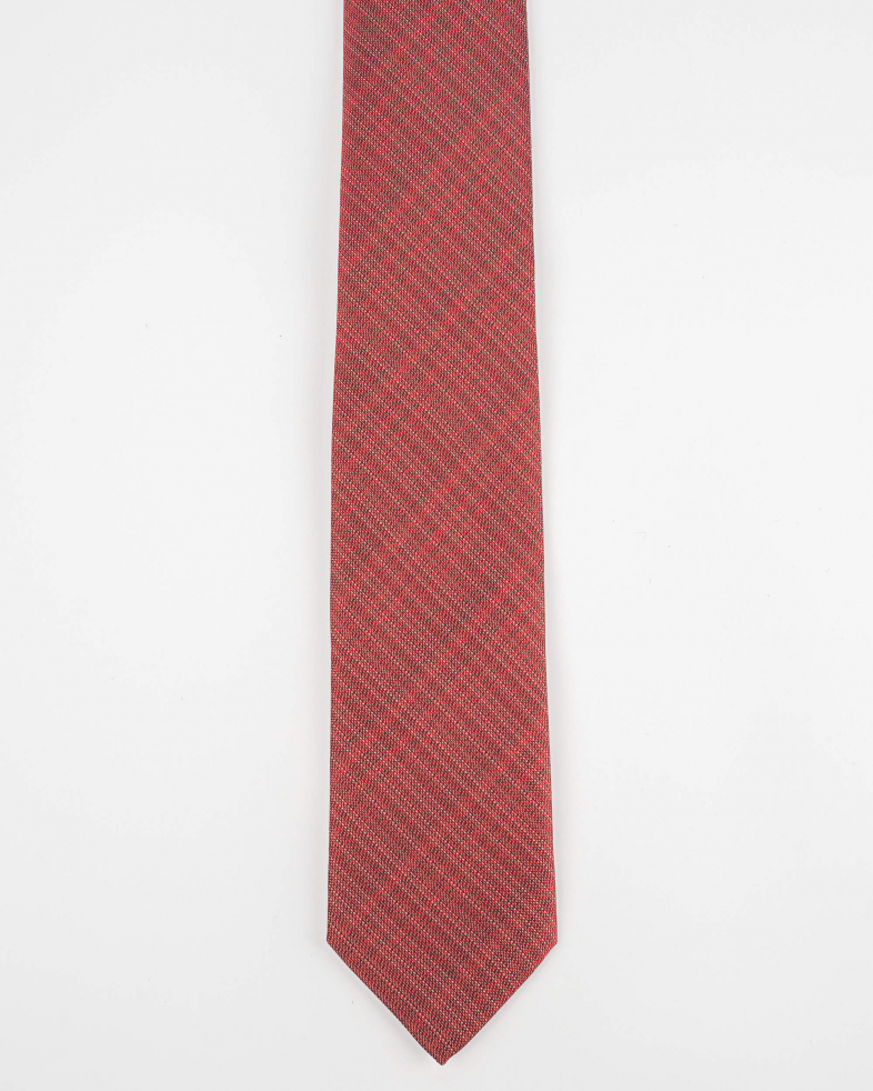 TIE POLYESTER 220150133573-1 01