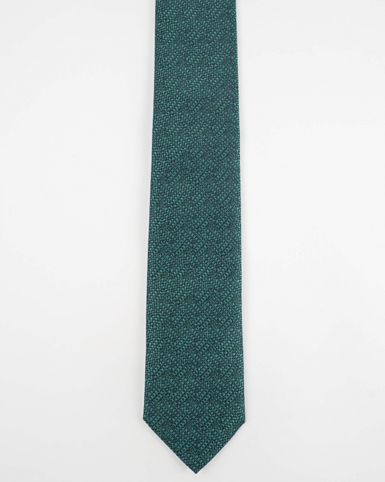 TIE POLYESTER 220150133576-1 01