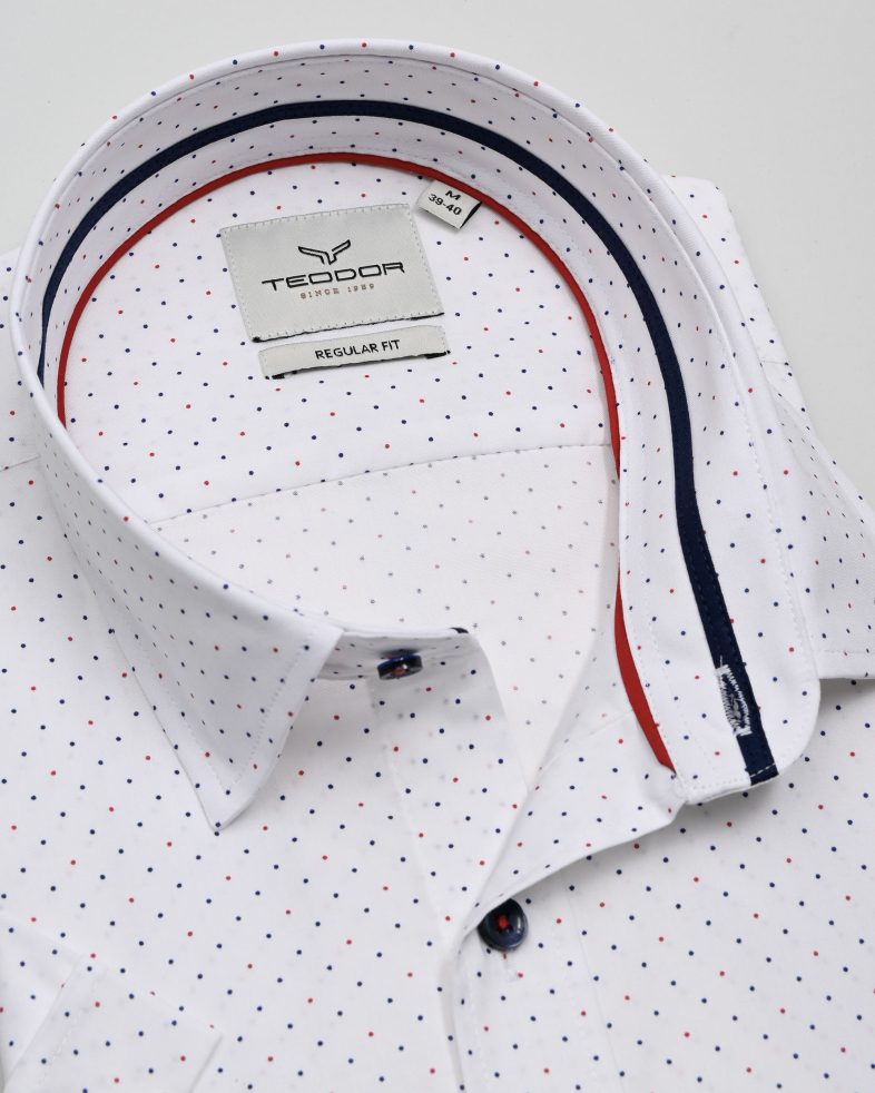 SHIRT REGULAR FIT COTTON 250135045087-2 06