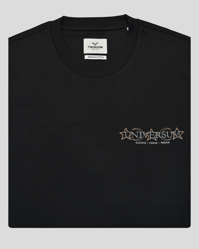 T-SHIRT COTTON 250110131837-2 06