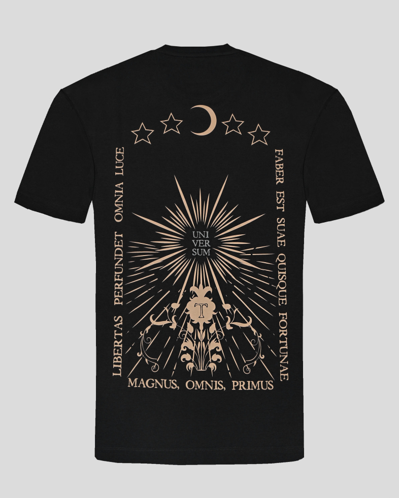 T-SHIRT COTTON 250110131837-2 08