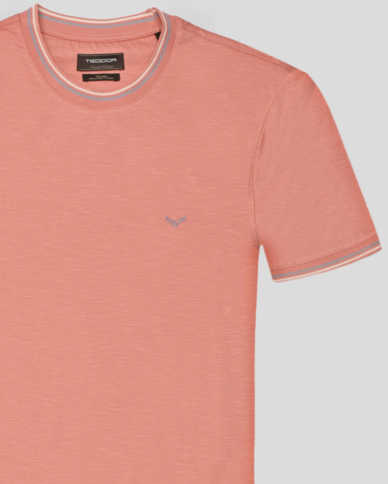T-SHIRT COTTON 250110131782-5 05