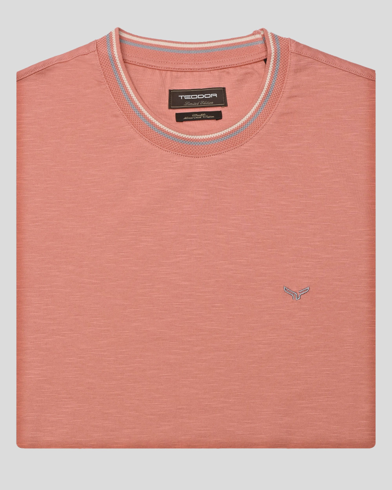 T-SHIRT COTTON 250110131782-5 06