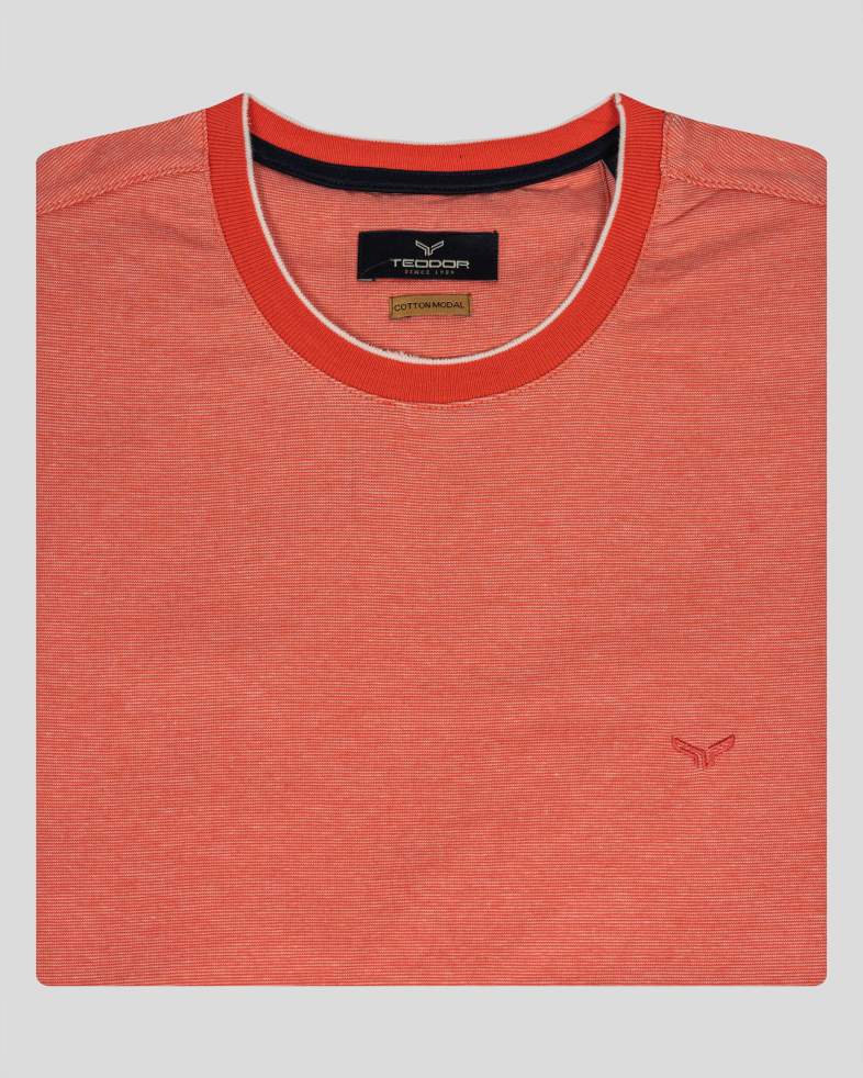T-SHIRT COTTON 230110131659-2 06