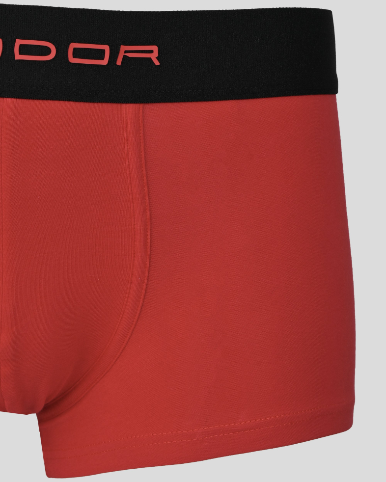 UNDERWEAR COTTON 2301155010-3 02
