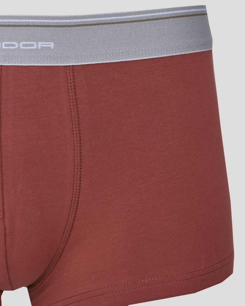 UNDERWEAR COTTON 2402155017-4 02