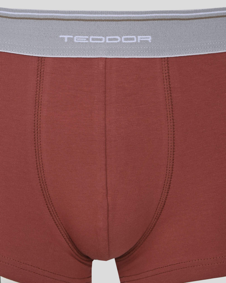 UNDERWEAR COTTON 2402155017-4 03