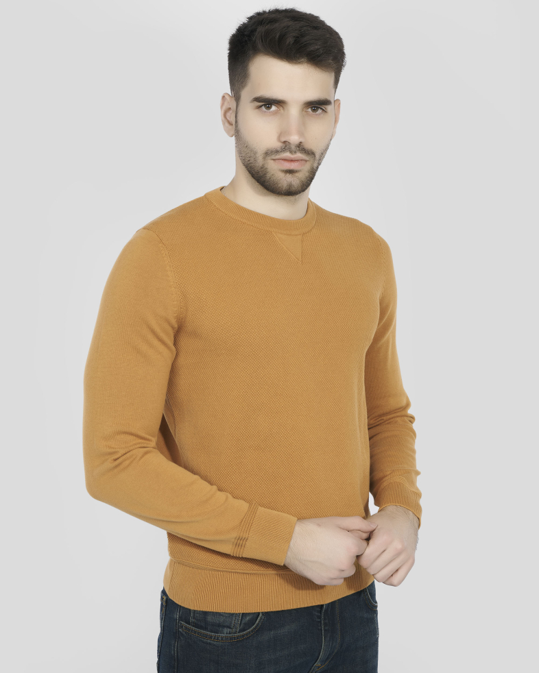 SWEATER COTTON 240208055363-5 03