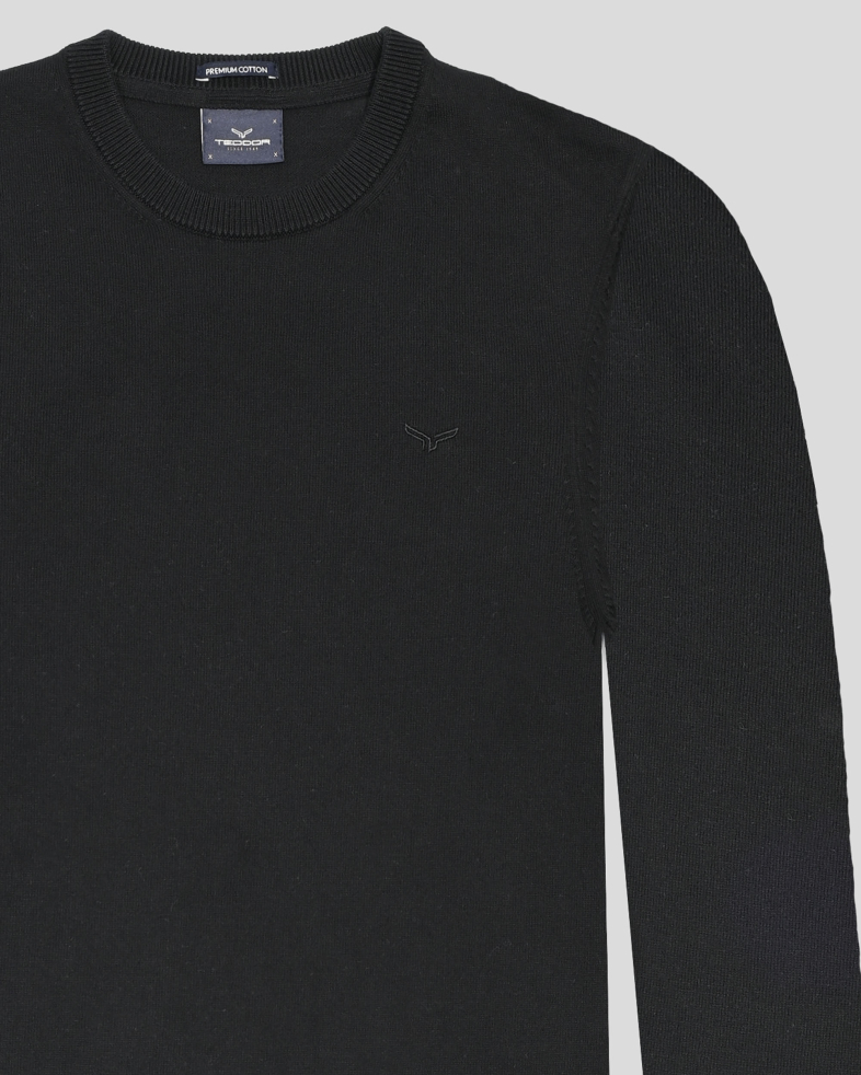 SWEATER COTTON 250108055390-1 06