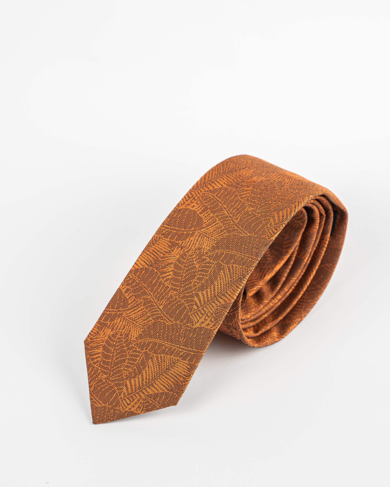 TIE POLYESTER 220150133567-1 04