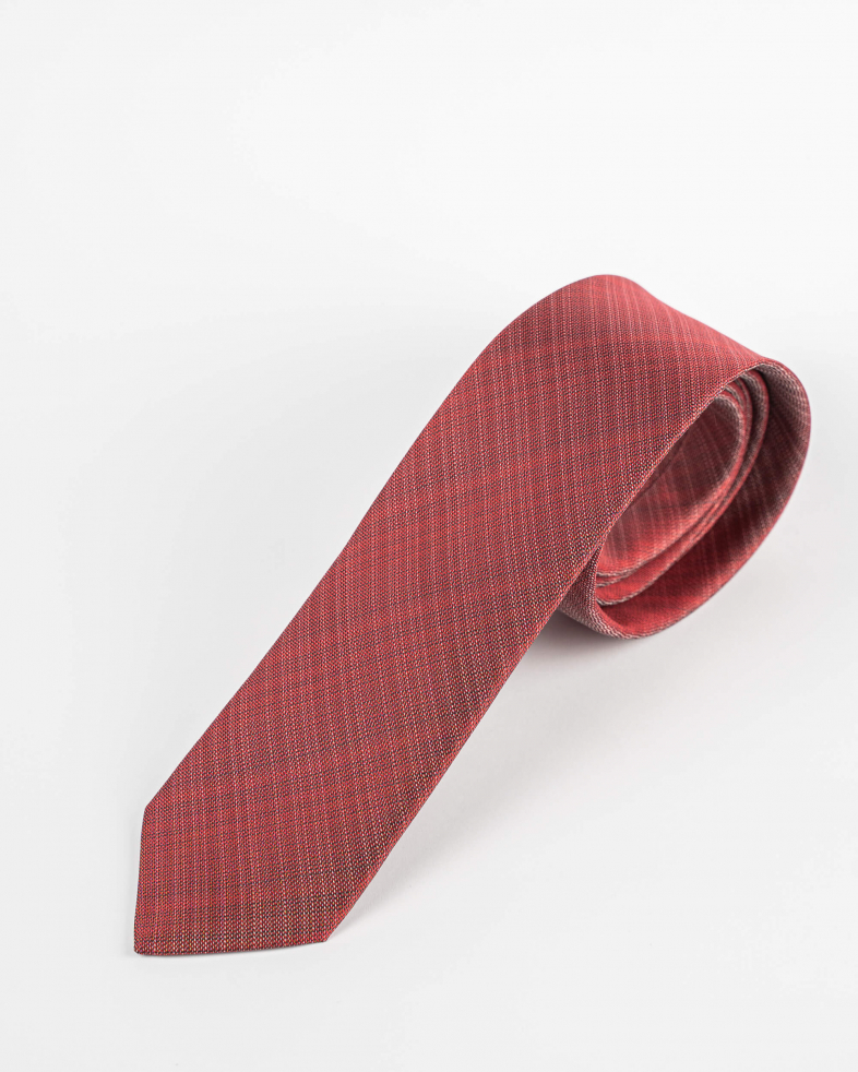 TIE POLYESTER 220150133573-1 04