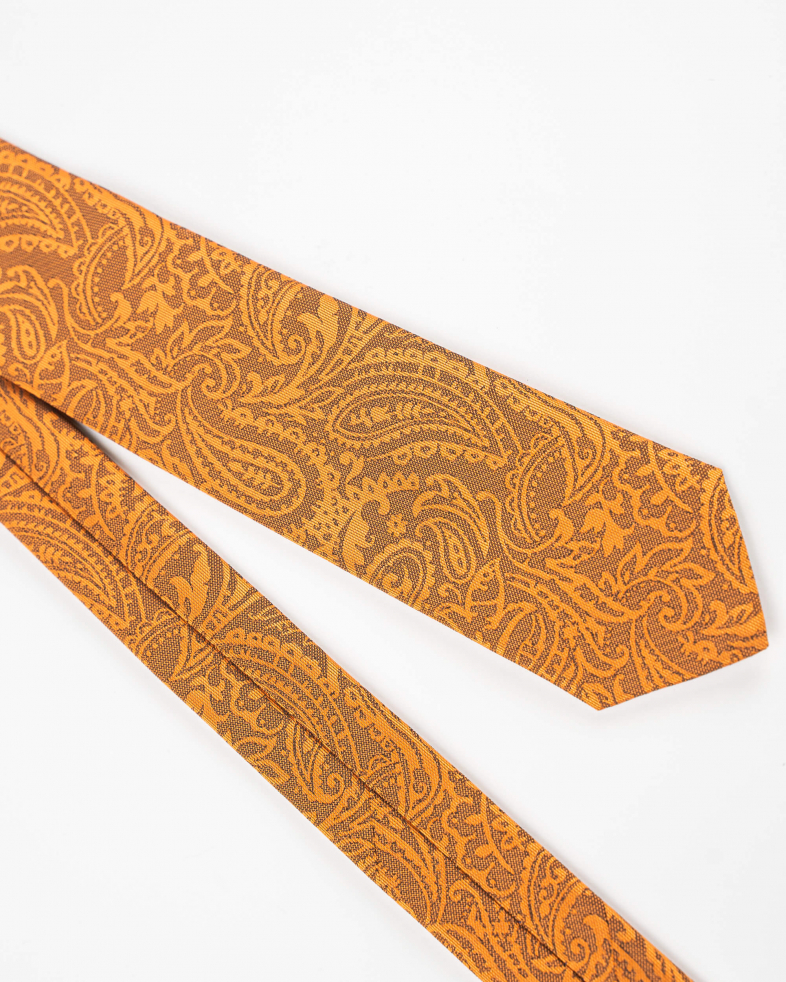 TIE POLYESTER 220150133570-3 02
