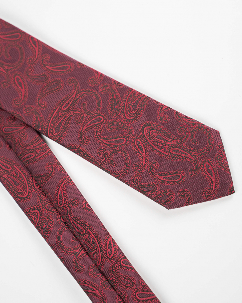 TIE POLYESTER 220150133570-5 02