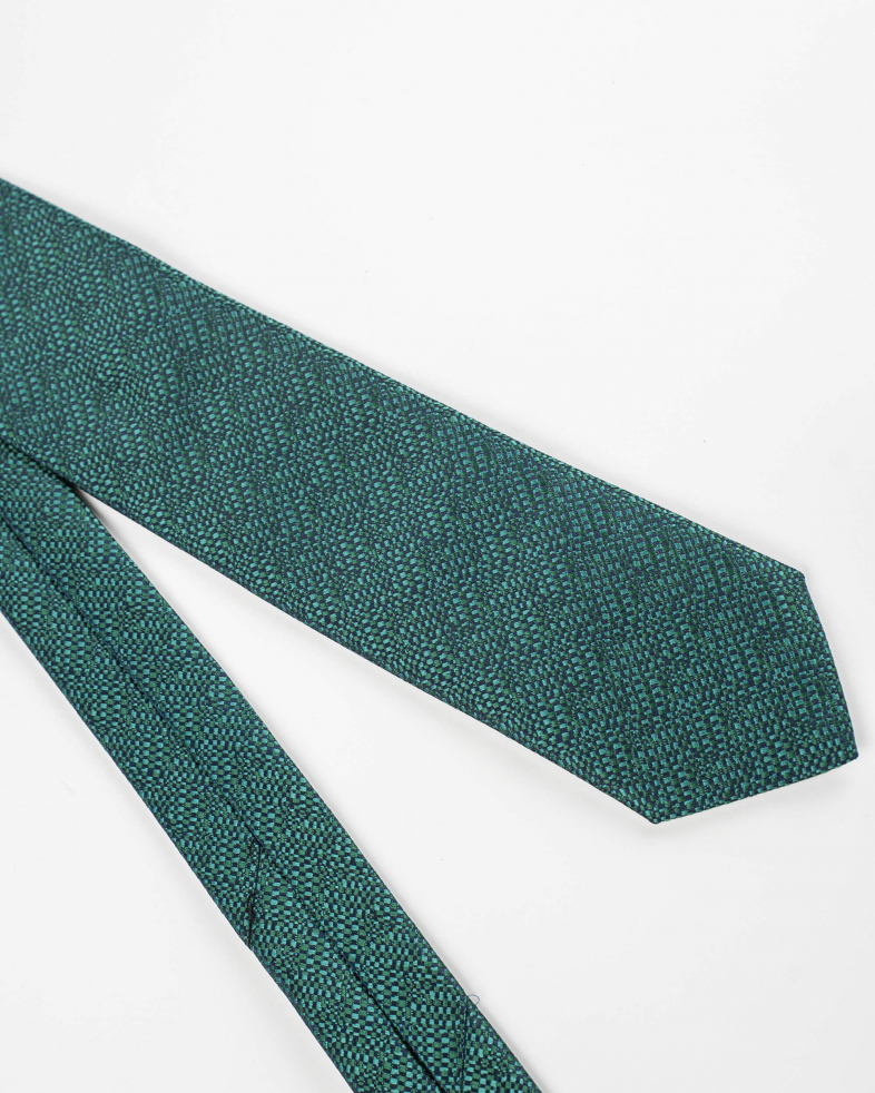 TIE POLYESTER 220150133576-1 02