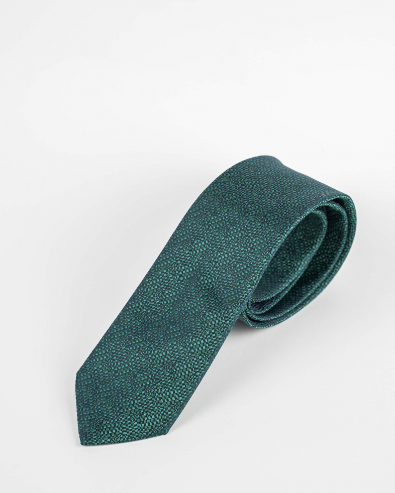 TIE POLYESTER 220150133576-1 04
