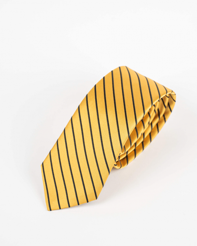 TIE POLYESTER 220150133563-4 04
