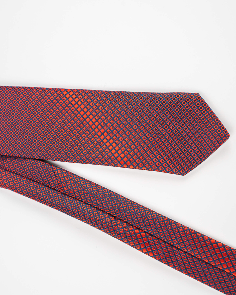 TIE POLYESTER 220150133572-1 02