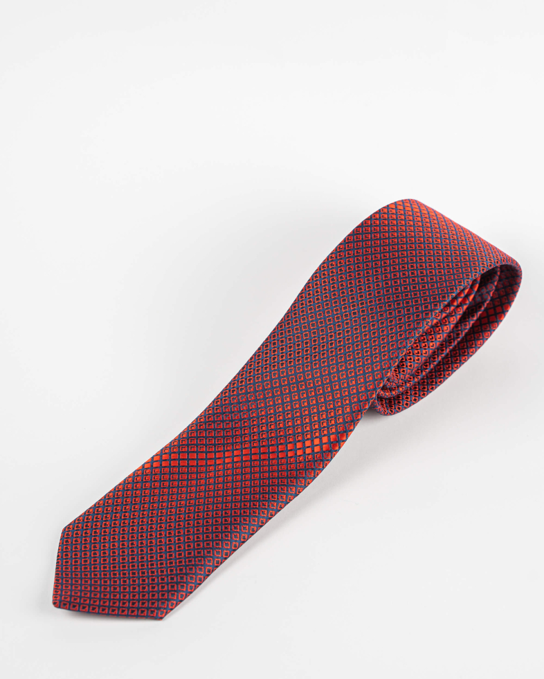 TIE POLYESTER 220150133572-1 04