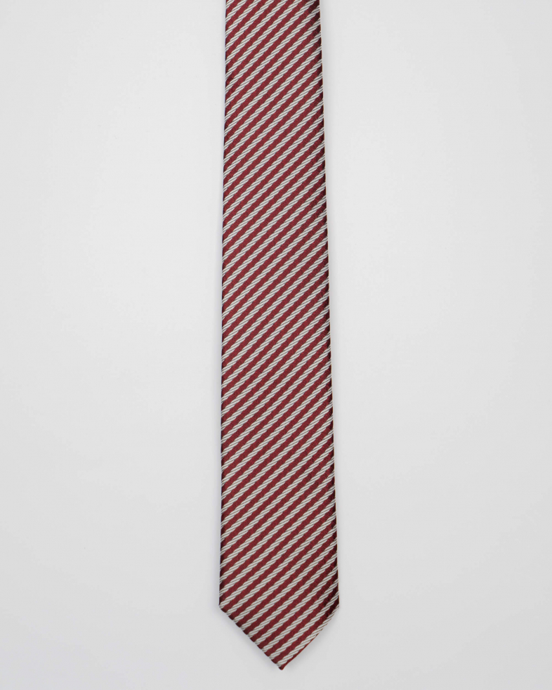 TIE POLYESTER 210250133421-1 01