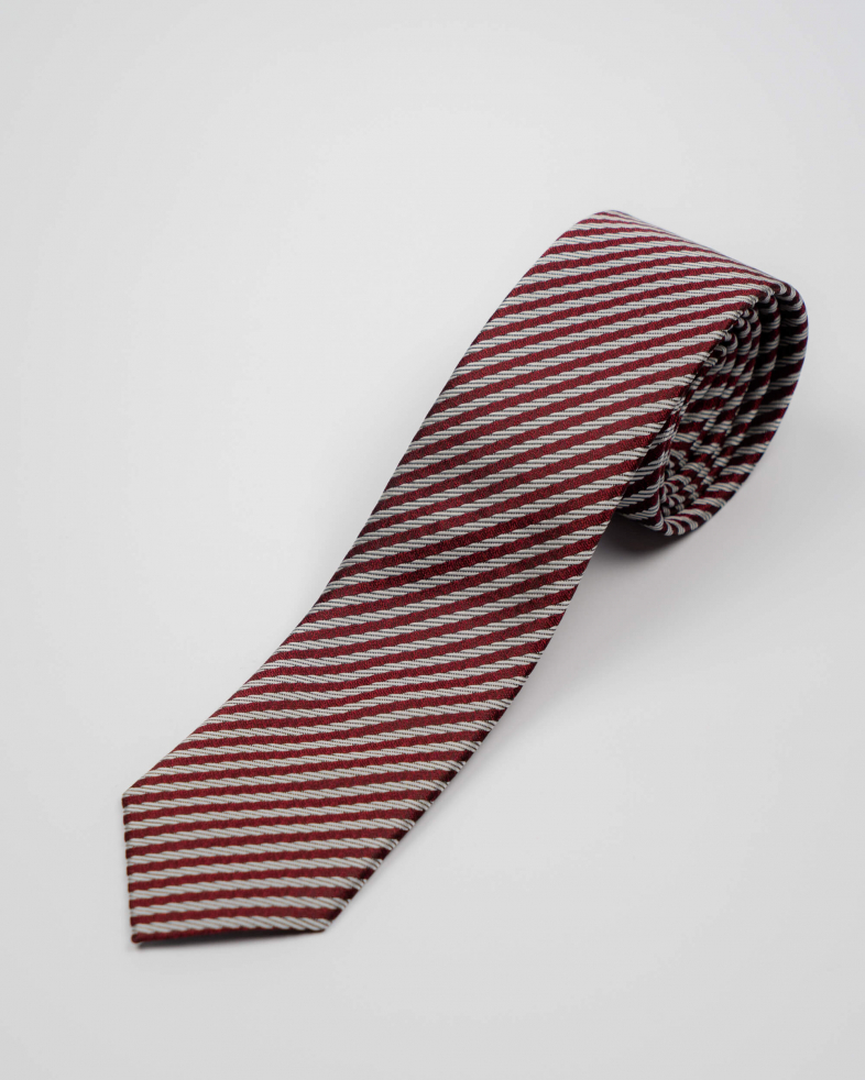 TIE POLYESTER 210250133421-1 04