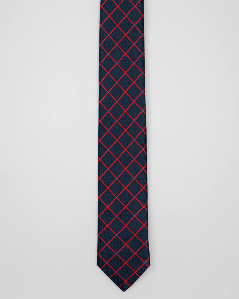 TIE POLYESTER 210250133409-1 01