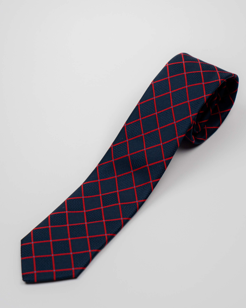 TIE POLYESTER 210250133409-1 04