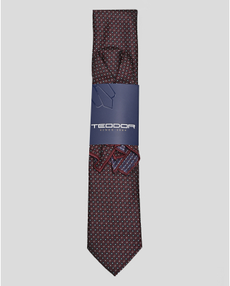 TIE AND POCKET SQUARE MICROFIBER