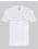 T-SHIRT COTTON
