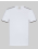 T-SHIRT COTTON