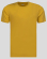 T-SHIRT COTTON